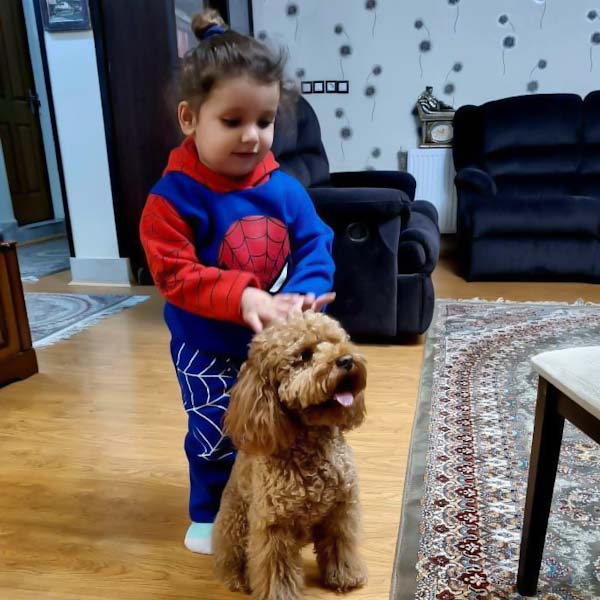 بابک عباسی مدلینگ برتر کودک / MODEL