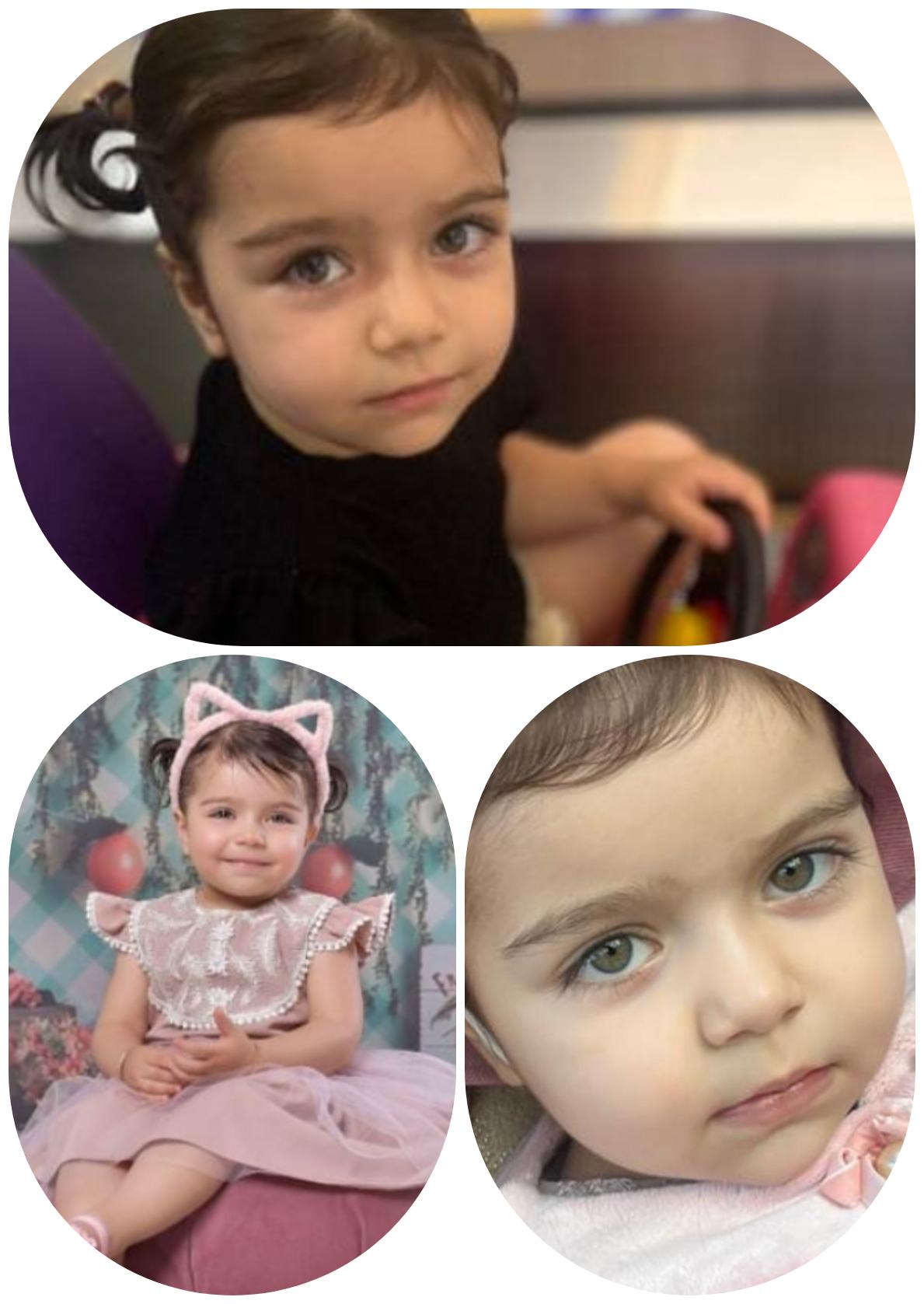 رز گلی مدل برتر کودک 