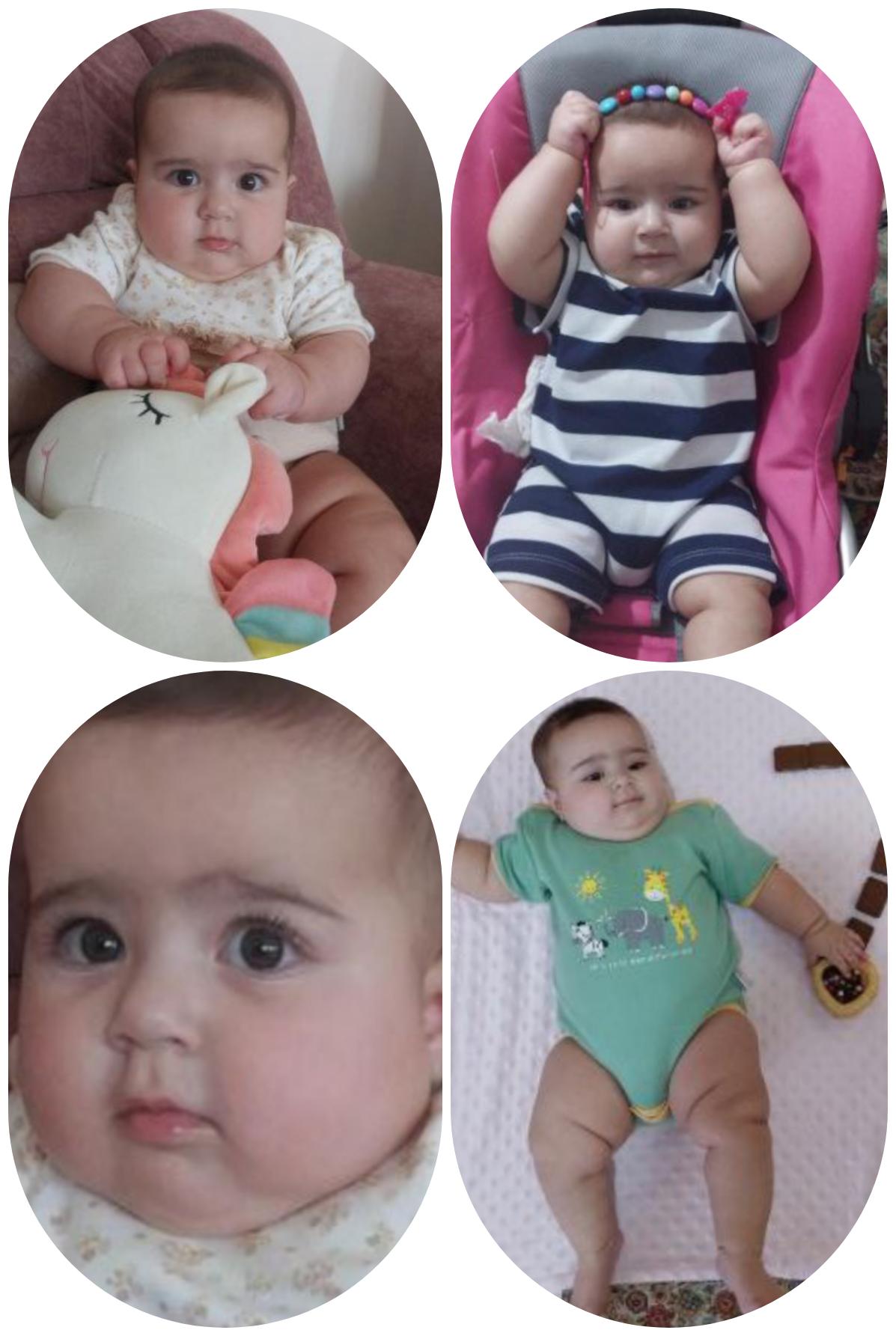 سلنا بردبار مدل برتر کودک