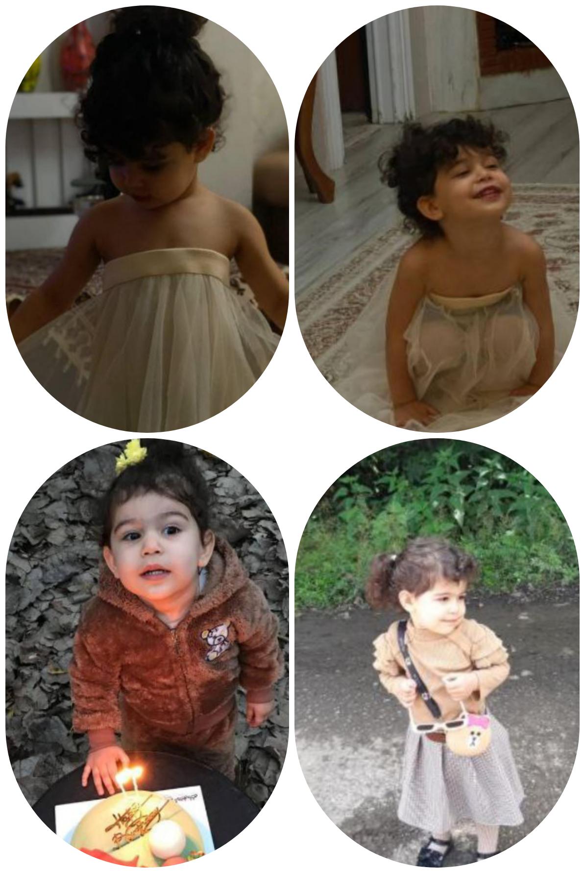 گندم ملک نژاد مدل برتر کودک