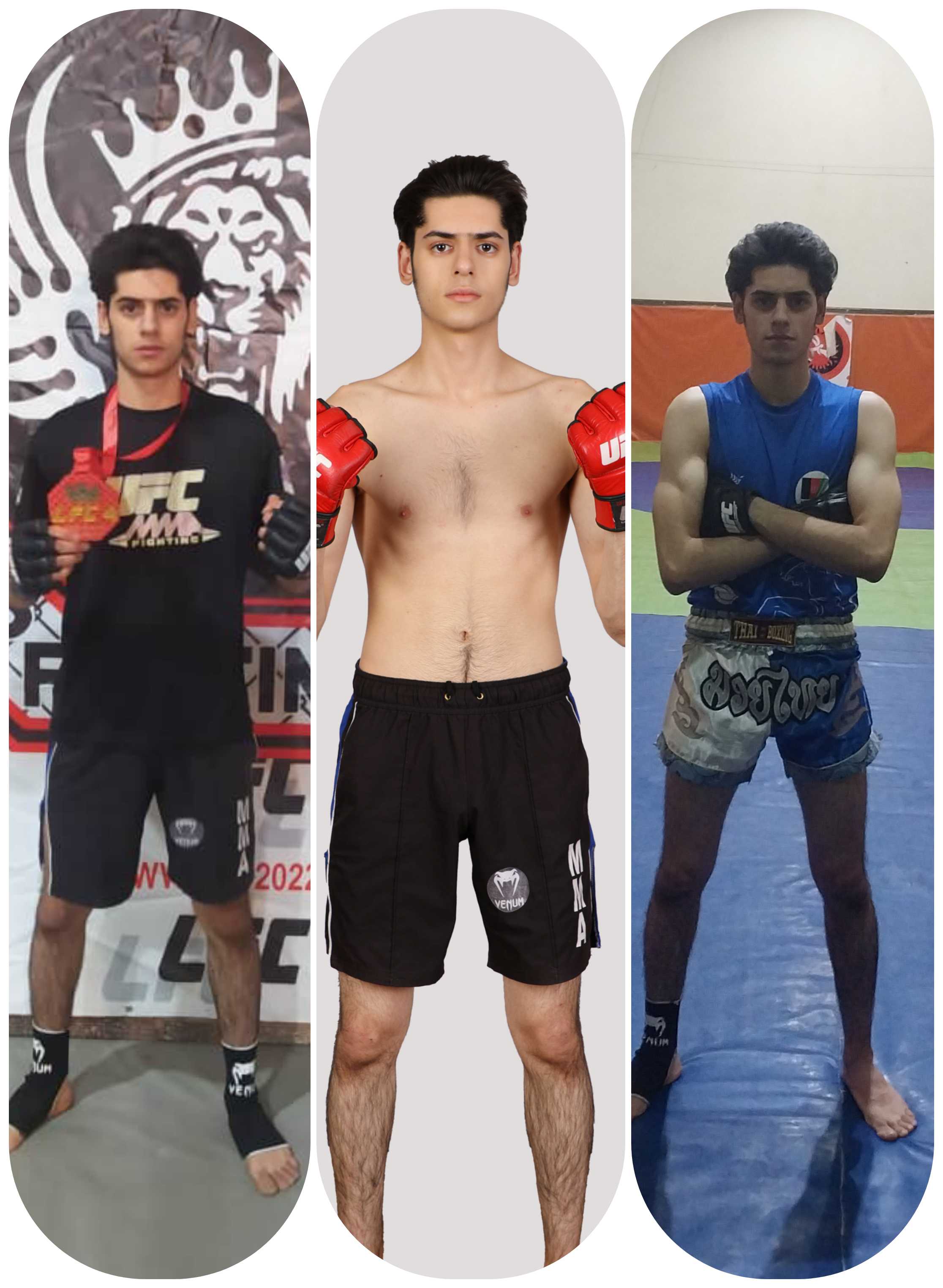 مجتبی امیری ام ام ای / Mojtaba amiri mma